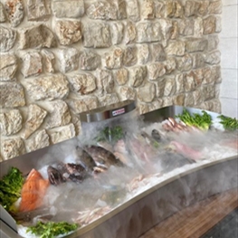 Display Fish Refrigerator with cold steam 